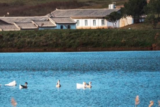 Юньнань Лицзян жайылымдары бейне жер?йы? сек?лд?